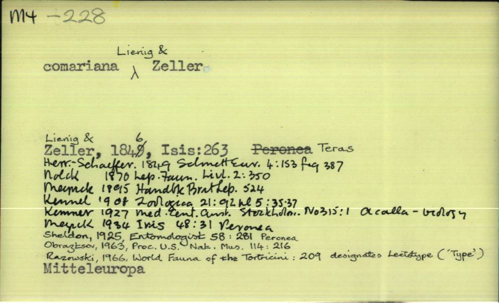 front of card